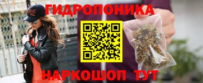 мдпв Партизанск