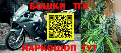мдпв Партизанск