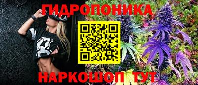 стаф Пенза
