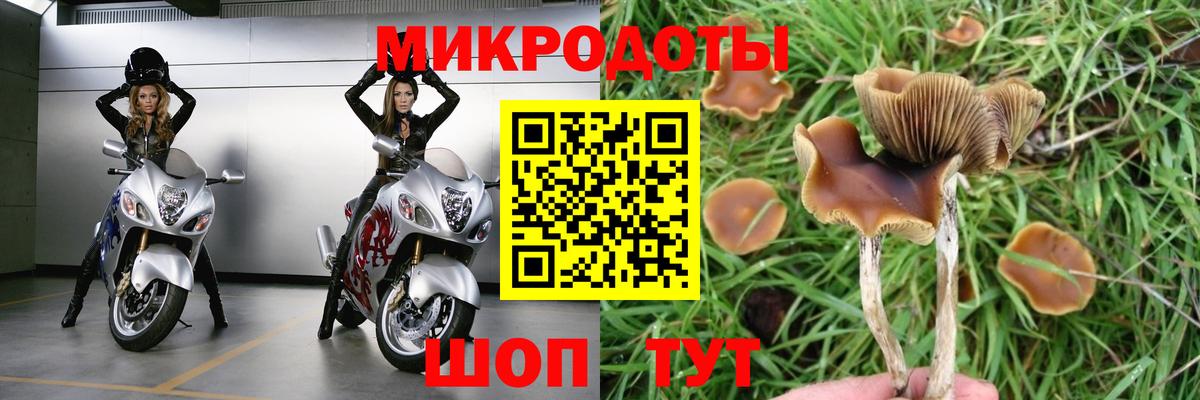 Псилоцибиновые грибы прущие грибы Спасск-Дальний